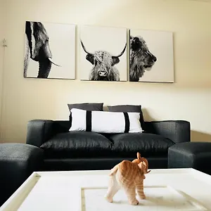  Apartamento Casa Huesped V En El Corazon De La Ciudad, A Una Cuadra De Peatonal, Con Parking Privado A 100 Metros!